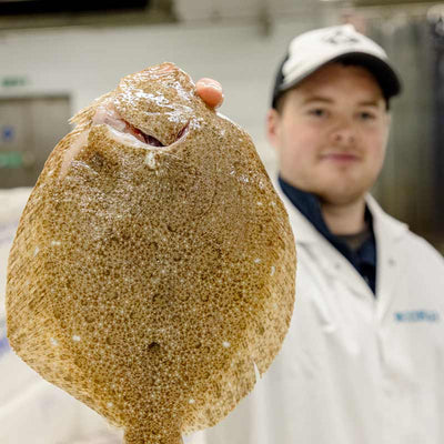 Brill Fillets