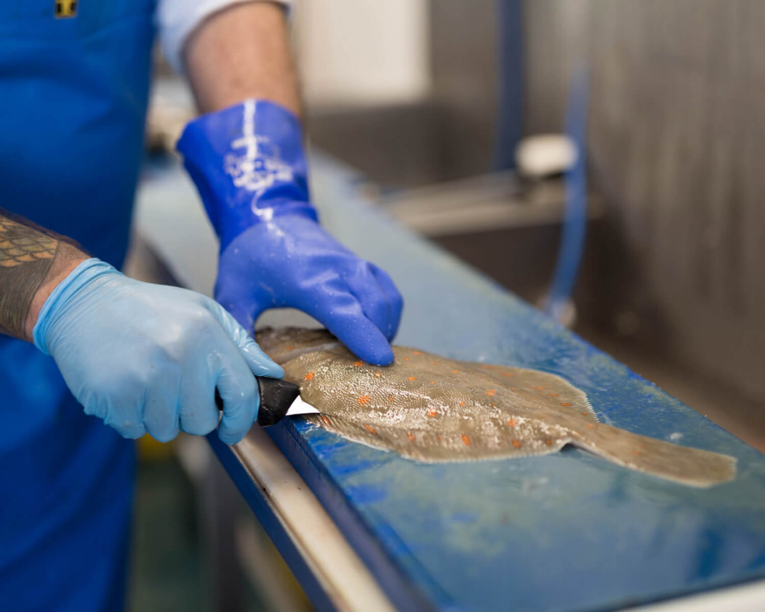 Rockfish Fishmonger filleting a Plaice