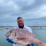 Market Pick - Couches Sea Bream 2.7kg