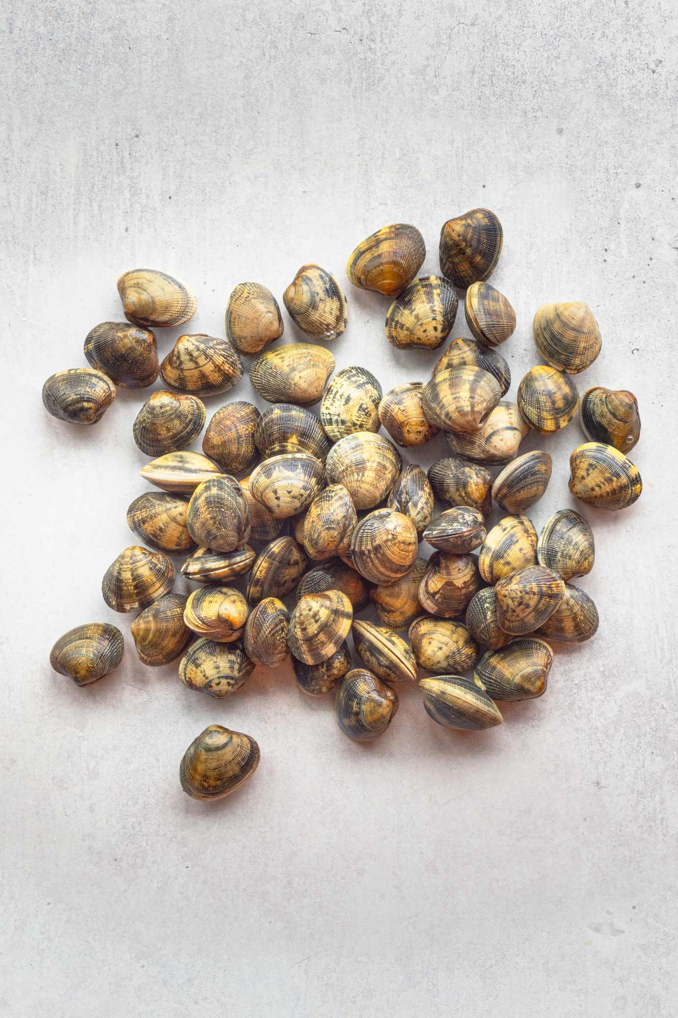 A pile of small striped clams with mottled brown, tan, and dark gray shells, arranged on a light gray textured surface.
