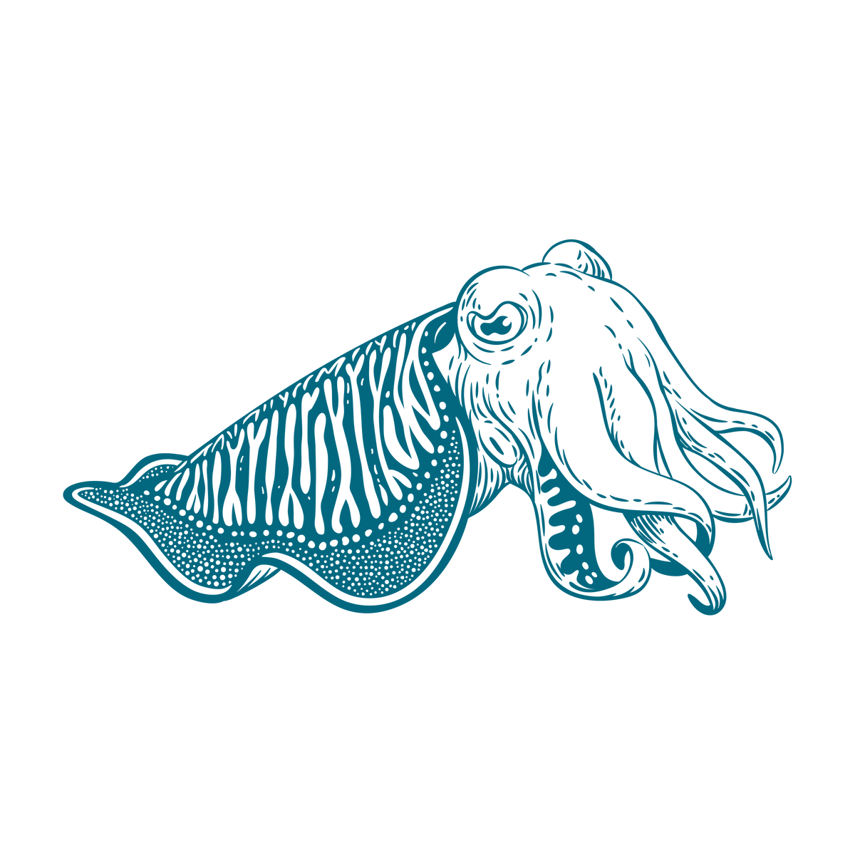 Lyme Regis – Rockfish