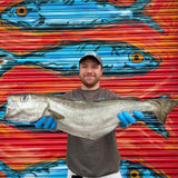 Market Pick - Pollack 3.2kg