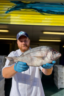 Market Pick - Black Sea Bream 1.3kg
