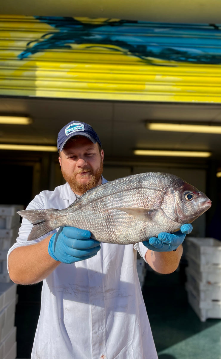 Wild Gilt Head Sea Bream Fillets Fresh sustainable fish delivered