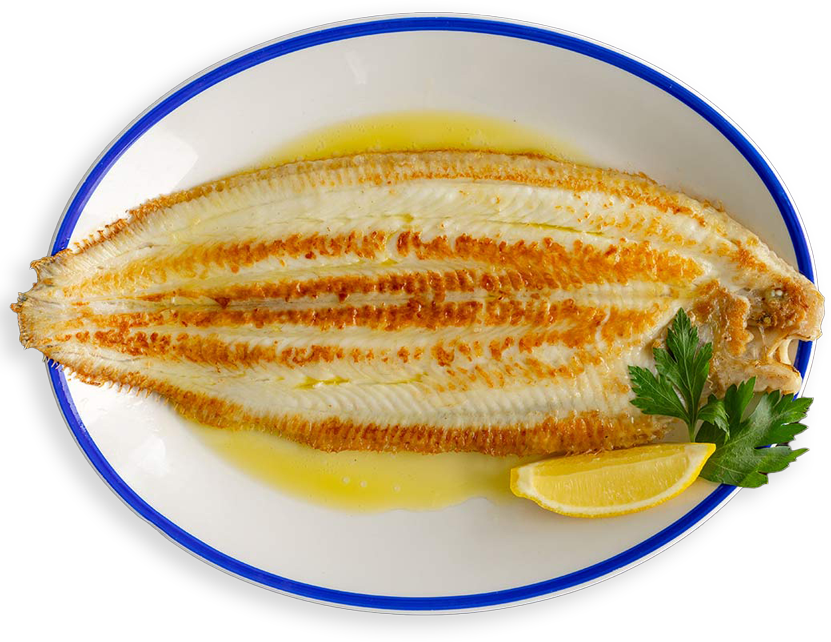 Sole Rack Fish Rockfish Seasonal Seafood Guide