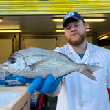Market Pick - Black Sea Bream 700g