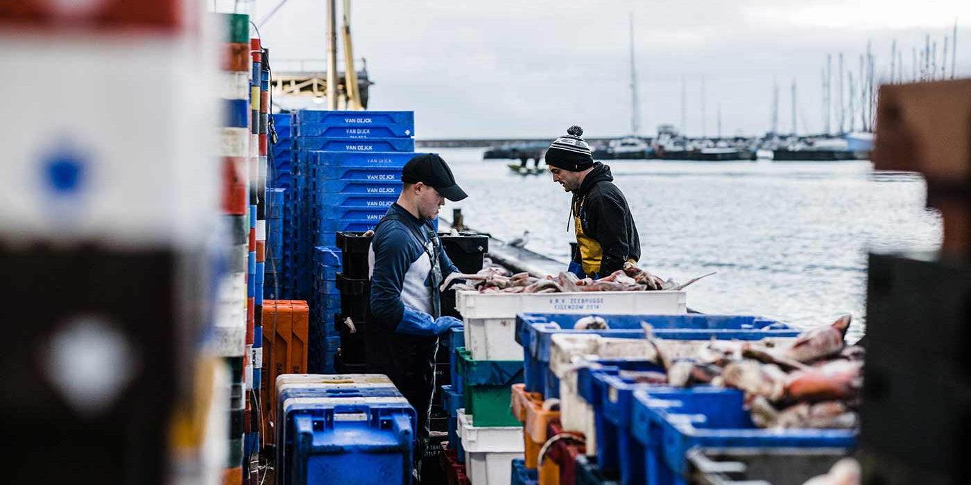 Two workers handling fresh fish on the quayside in Brixham next to stacked blue and white crates, with a harbuor and masts visible in the background under an overcast sky.