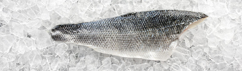 A portion of sea bass on ice