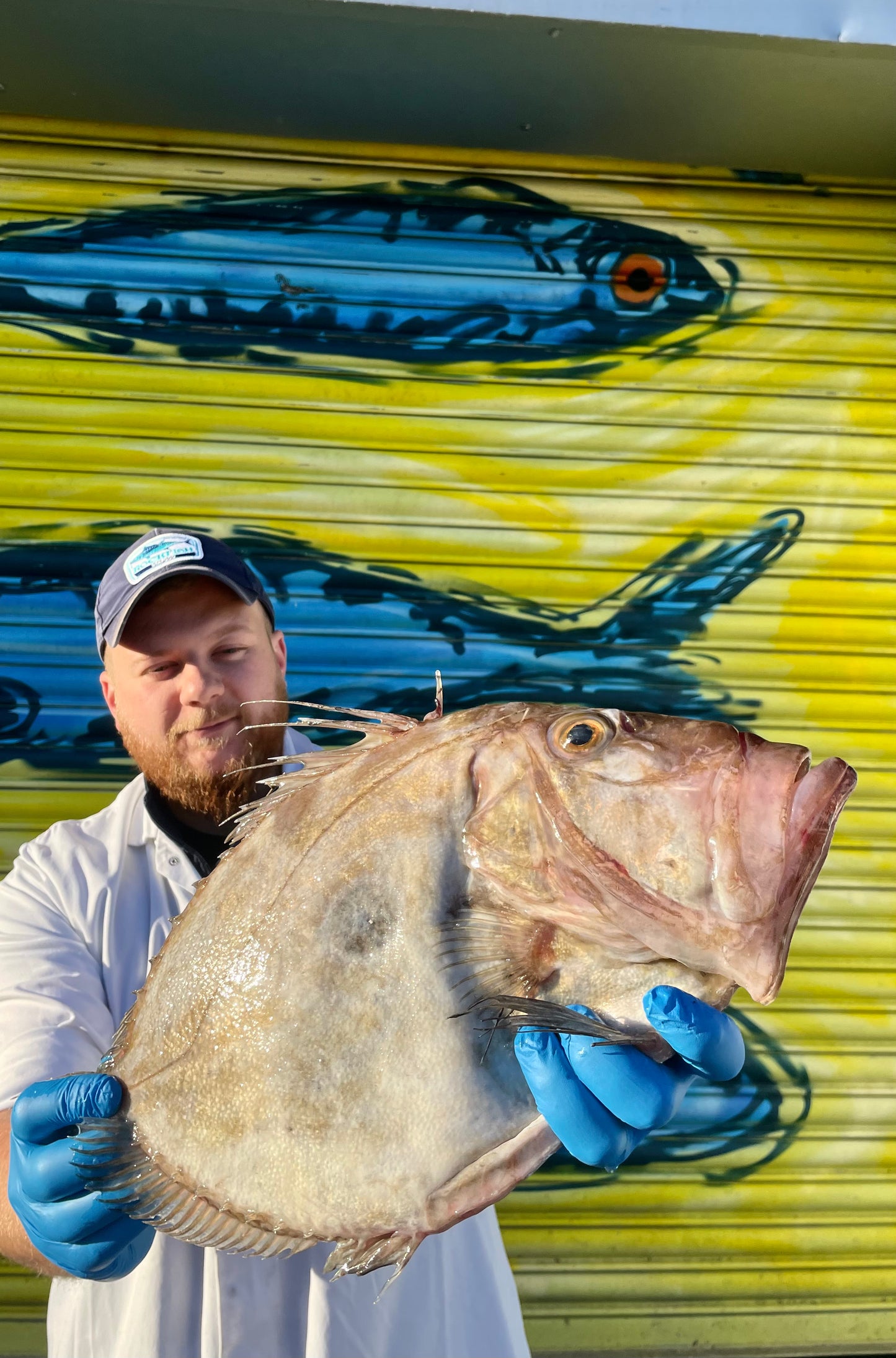 Mitch's Pick - John Dory 1.8kg