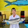 Rod and line Seabass from Rockfish