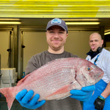 Market Pick - Couches Sea Bream 1.5kg