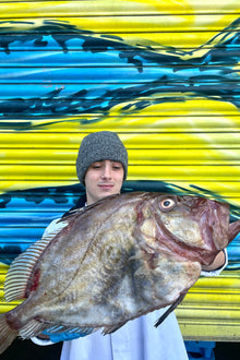 Market Pick - John Dory 2.3kg