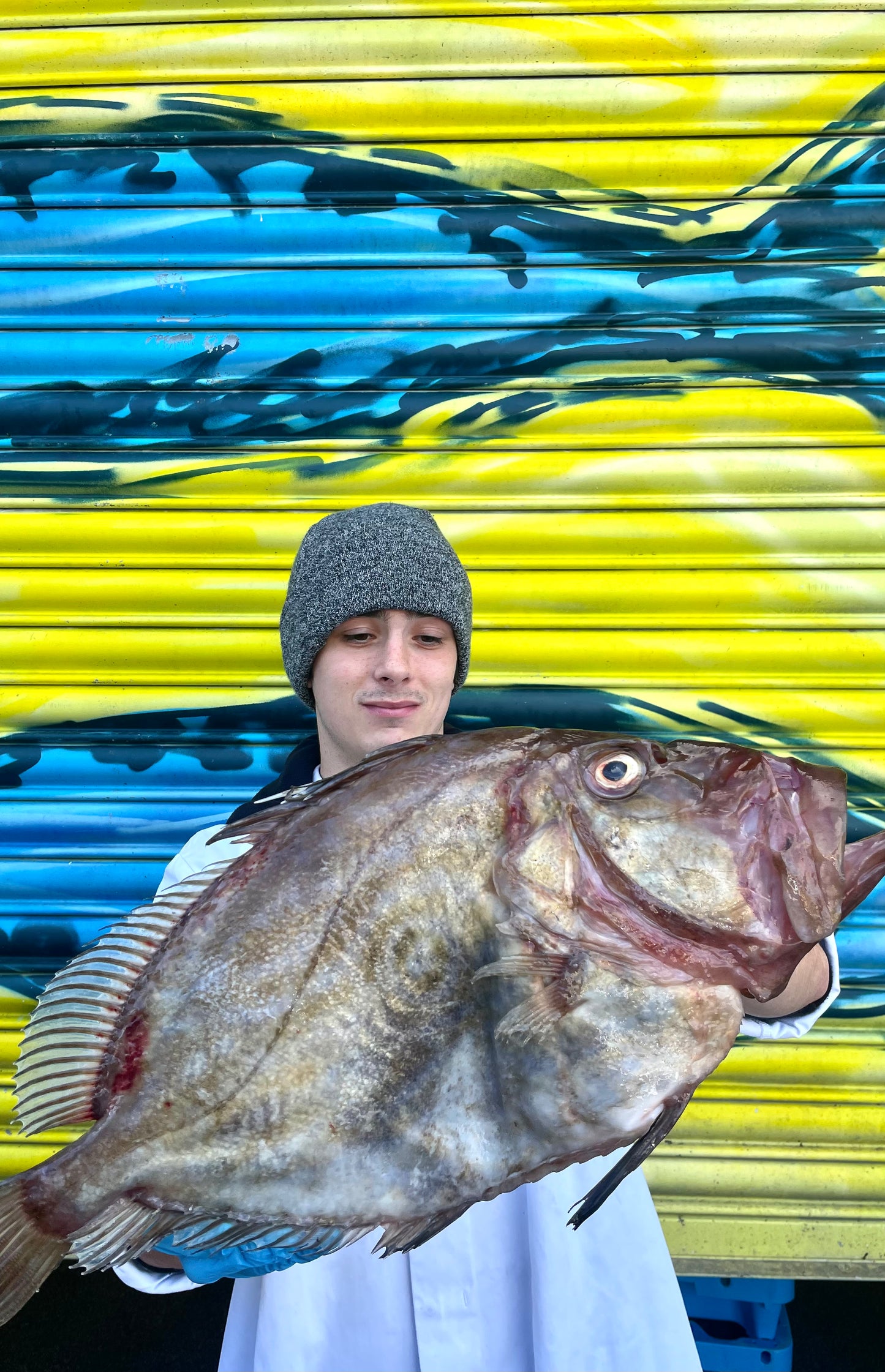 Mitch's Pick - John Dory 2.2kg