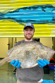 Mitch's Pick - John Dory 1.3kg