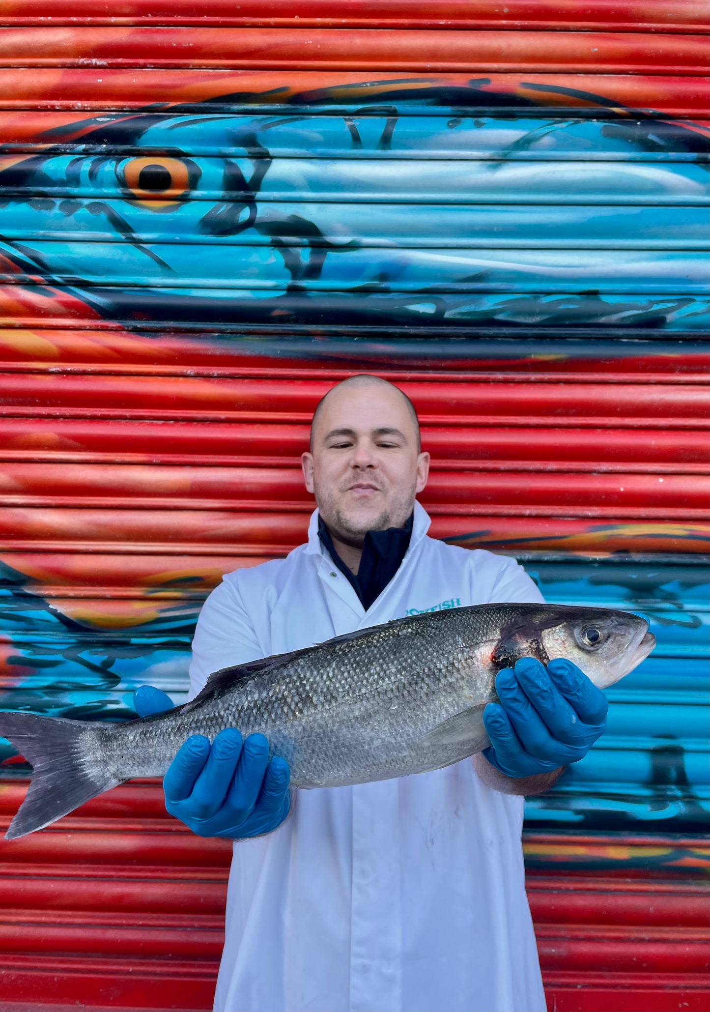 Market Pick - Sea Bass 1.6 kg