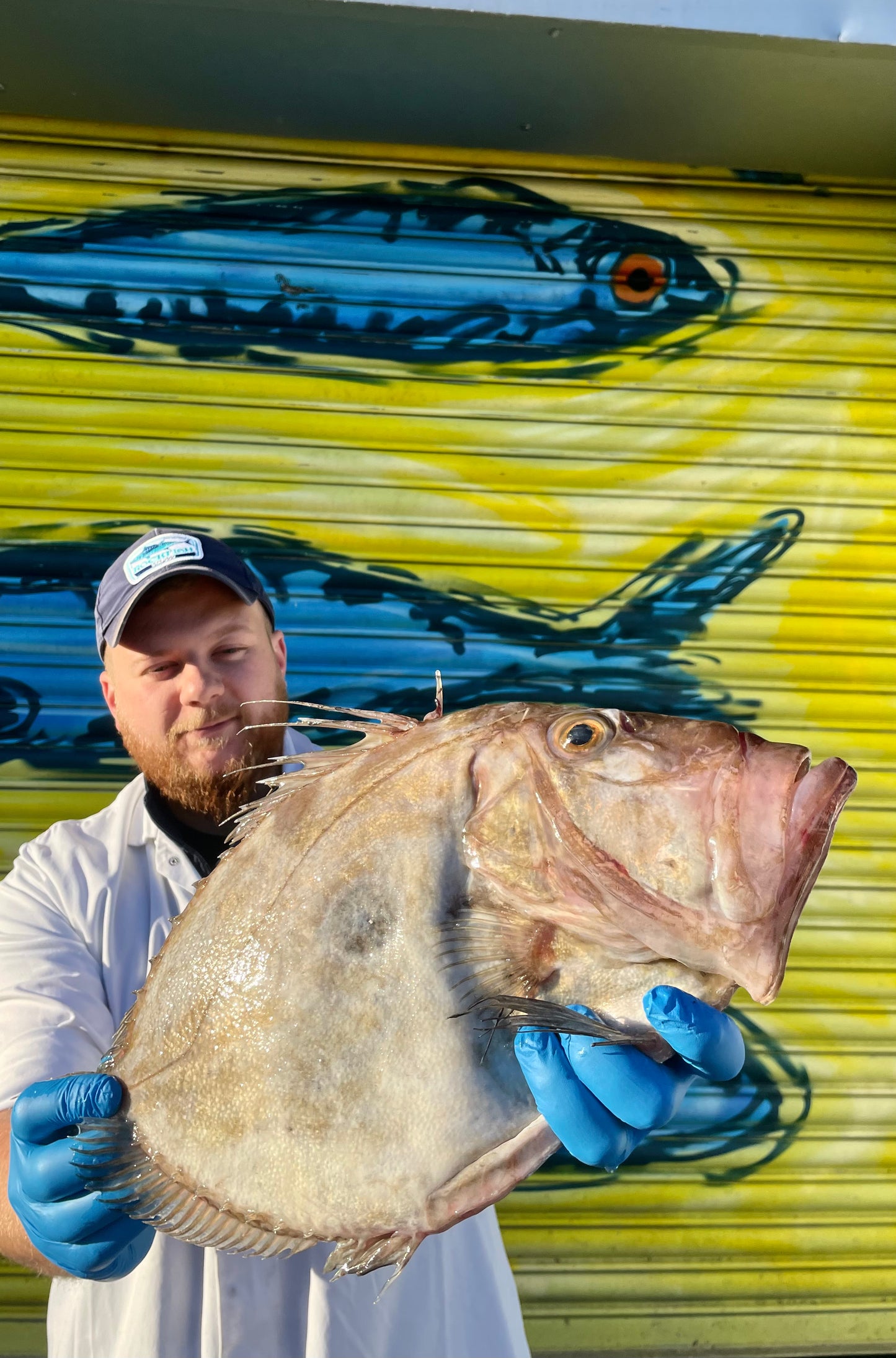 Mitch's Pick - John Dory 1.4kg