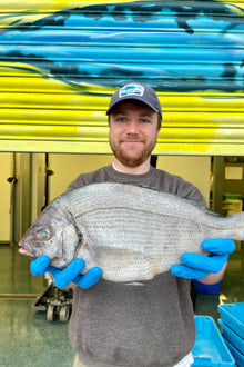 Market Pick - Black Sea Bream 1.4kg