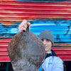 Market Pick - Brill 1.3kg