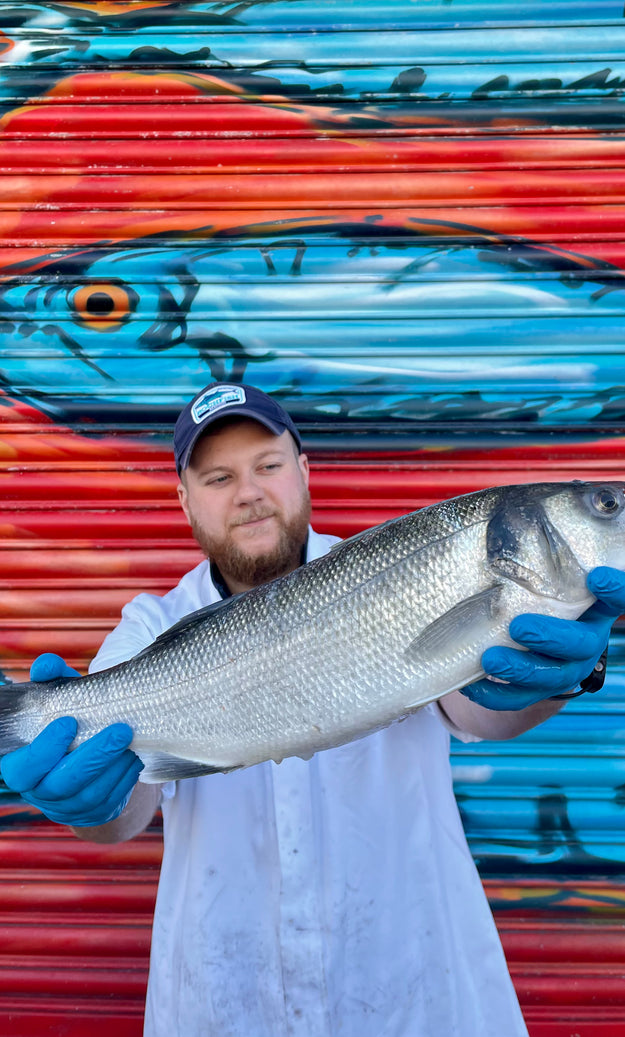 Mitch's Pick - Sea Bass 1.8 kg