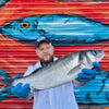 Market Pick - Sea Bass 1.7kg