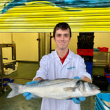Market Pick - Sea Bass 1kg