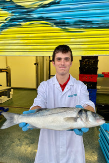 Market Pick - Sea Bass 1 kg