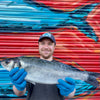 Market Pick - Sea Bass 1.8kg