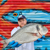 Market Pick - Wild Gilt Head Bream 2kg