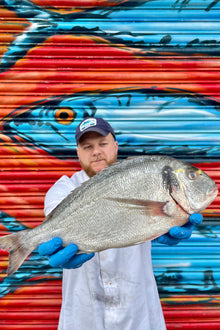Market Pick - Wild Gilt Head Bream 2.1kg