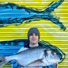 Market Pick - Wild Gilt Head Bream 1.2kg