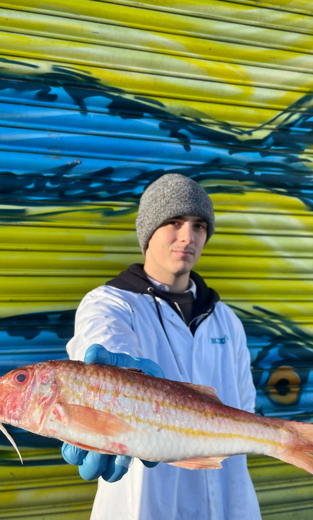 Mitch's Pick - Red Mullet 600g