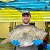 Market Pick - John Dory 1.4kg