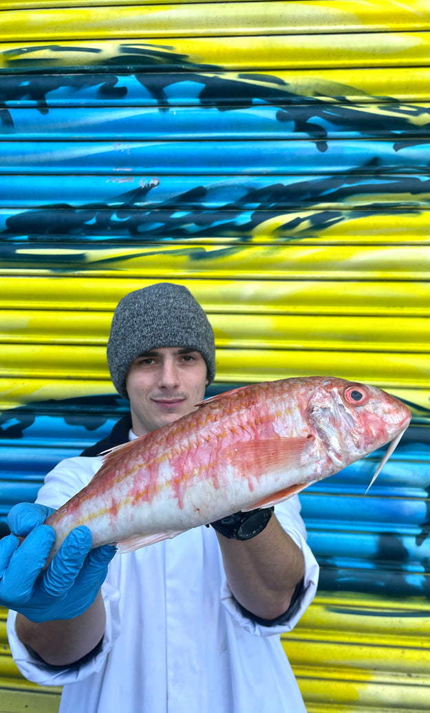 Mitch's Pick - Red Mullet 500g