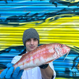 Market Pick - Red Mullet 550g
