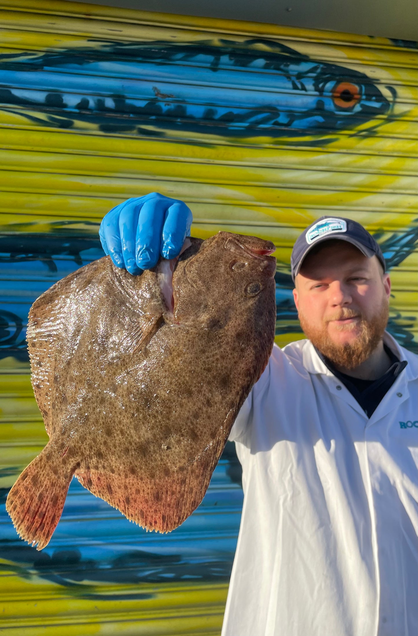 Mitch's Pick - Turbot 800g