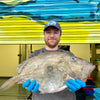 Market Pick - John Dory 1.5 kg