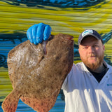 Market Pick - Turbot 900g