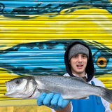 Market Pick - Sea Bass 800g