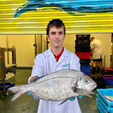 Market Pick - Black Sea Bream 1.2 kg