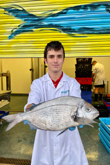 Market Pick - Black Sea Bream 1.2 kg