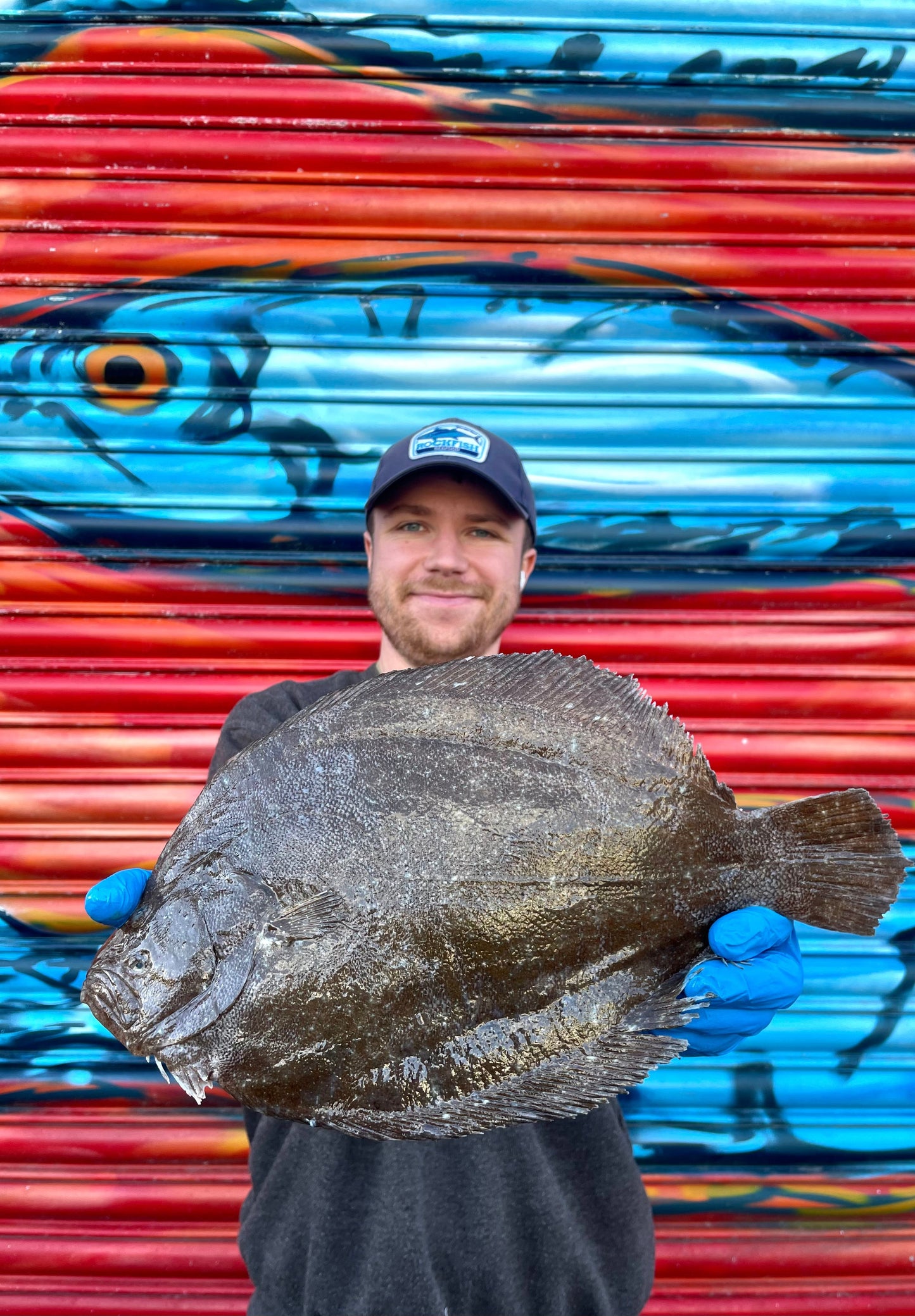 Mitch's Pick - Brill 1.5kg