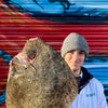 Market Pick - Turbot 1.2 kg
