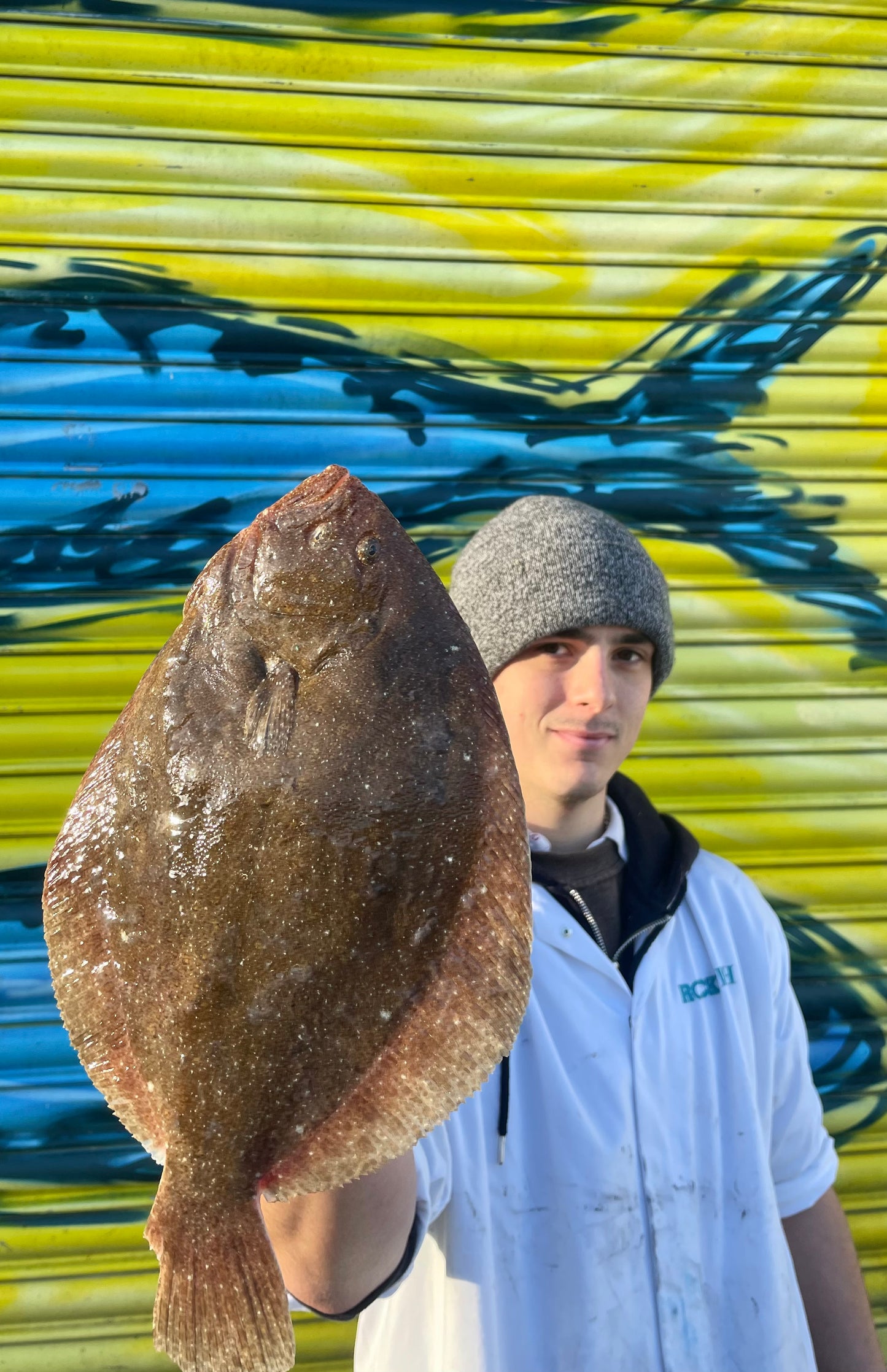 Market Pick - Brill 1.3kg