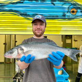 Market Pick - Sea Bass 1.1 kg