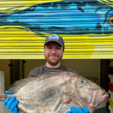 Market Pick - John Dory 2 kg