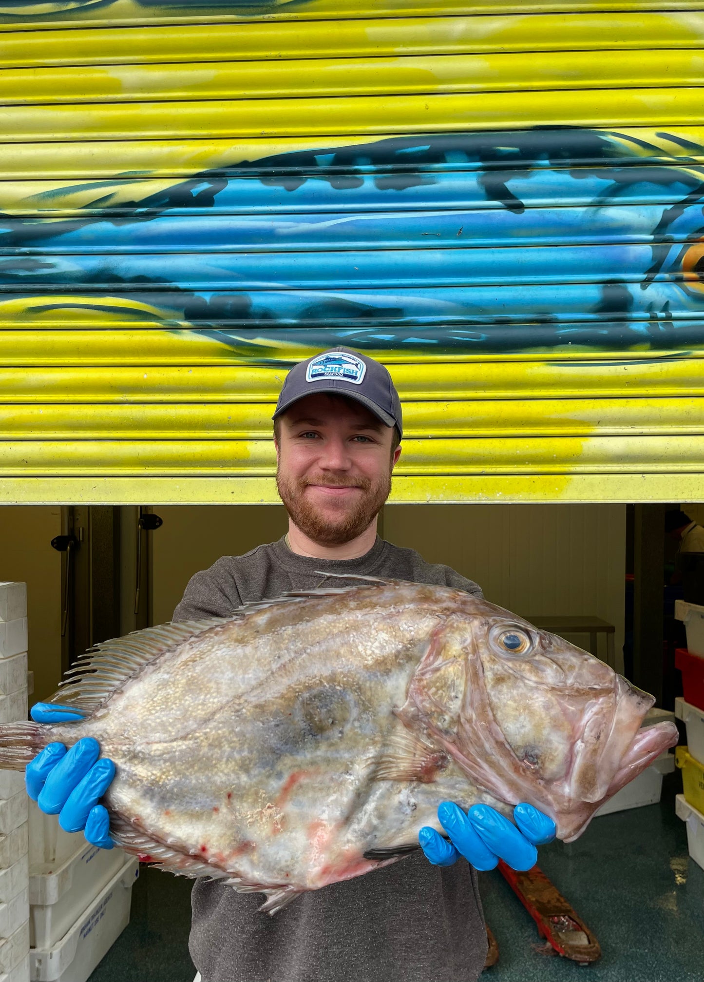 Mitch's Pick - John Dory 2 kg