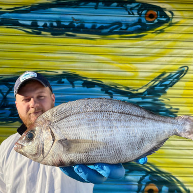 Market Pick - Black Sea Bream 800g