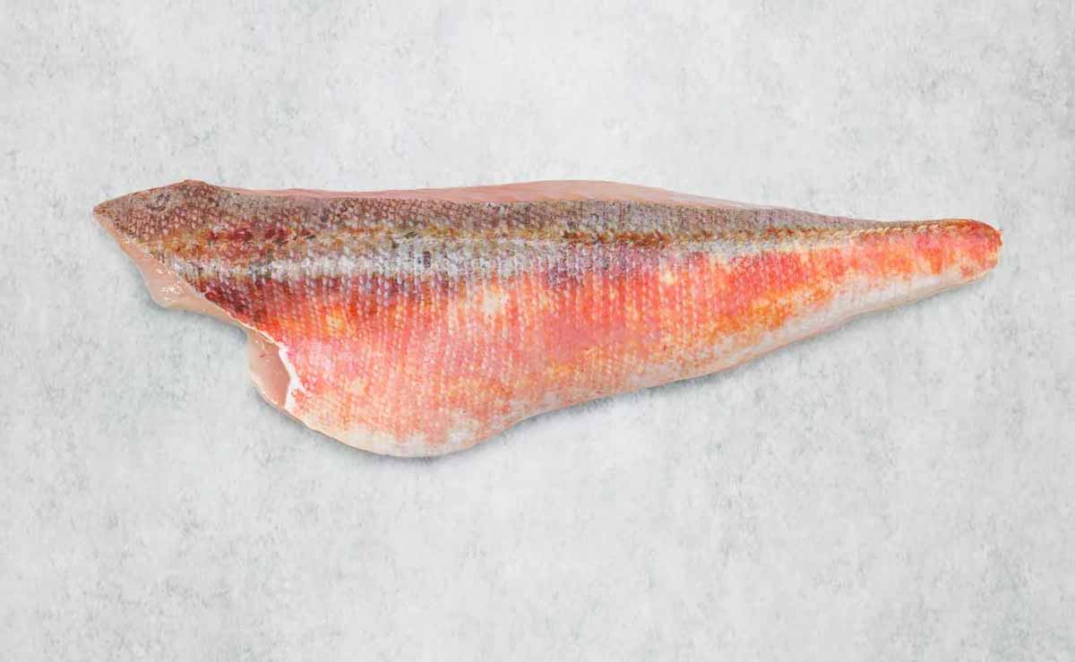 Fresh British Gurnard Fillet - mobile