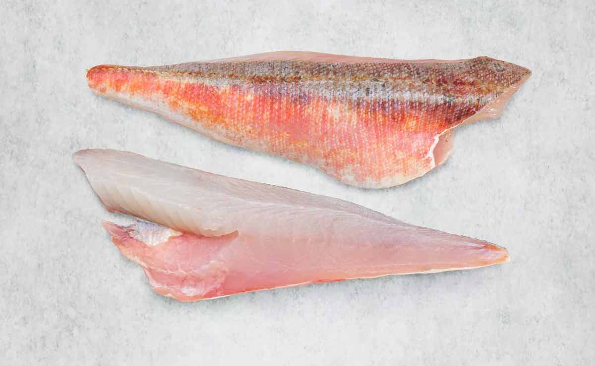 Fresh gurnard fillets from Rockfish - mobile