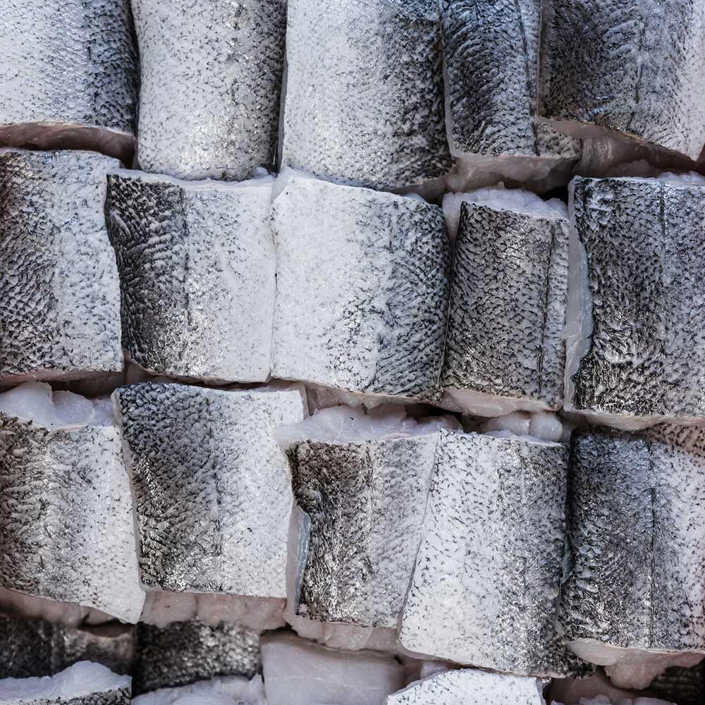 Portions of Hake lied up in a box ready to be delivered around the UK the next day.